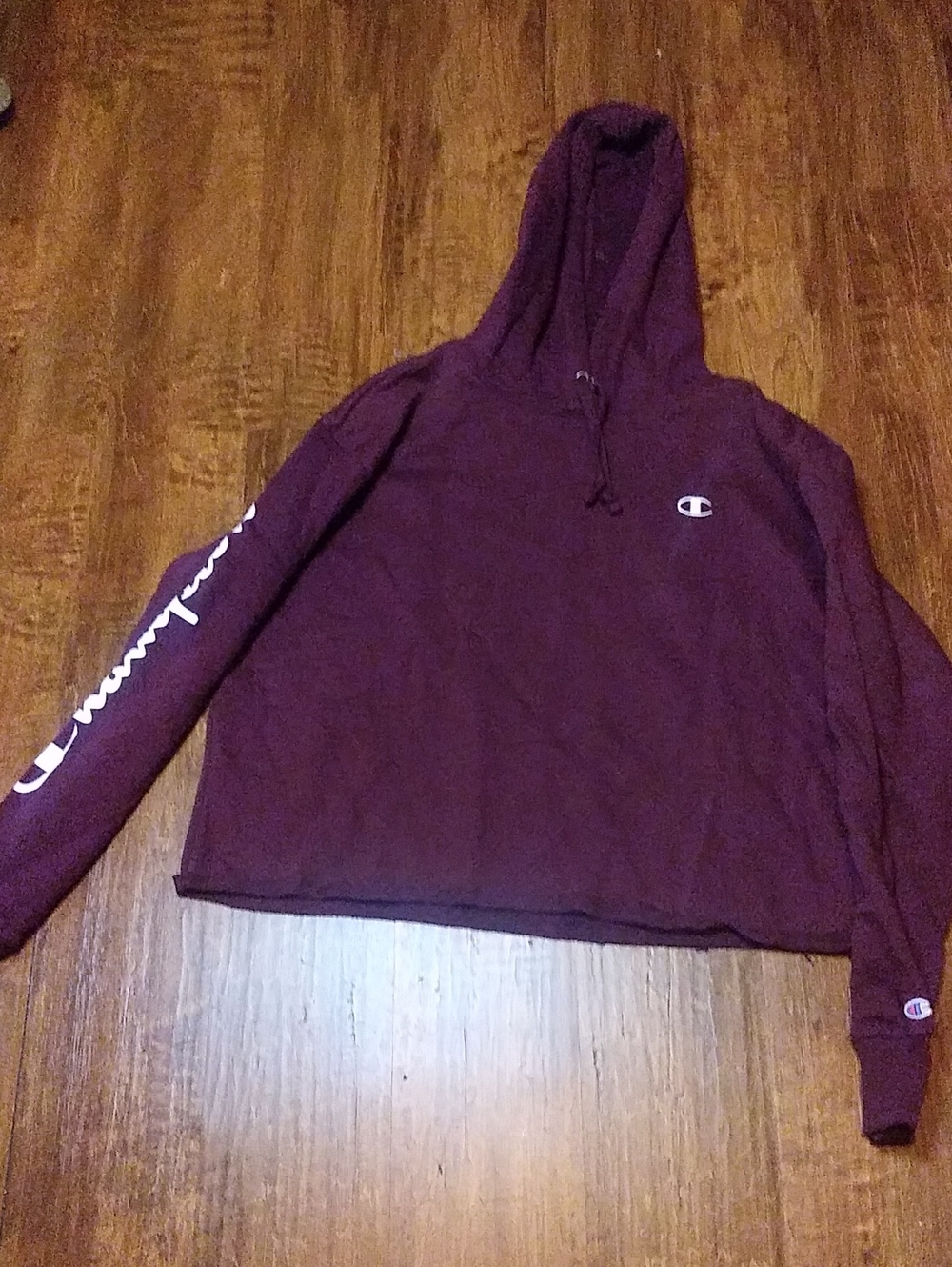 Champion Women's Hoodie in Plum